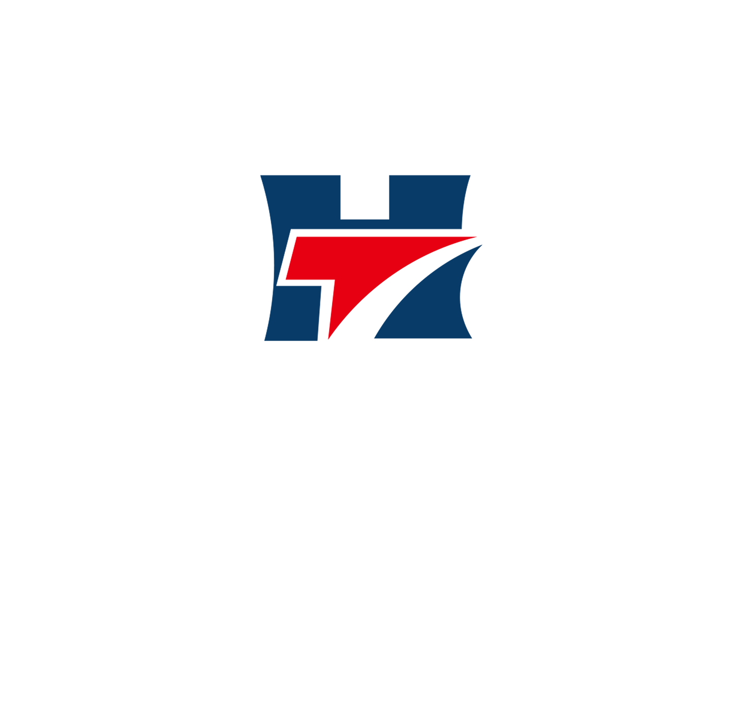 taiheshoes.com